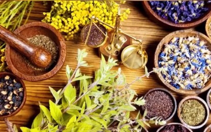 <p><strong>TRADITIONAL MEDICINE</strong>. A screenshot from the Cebu Provincial Capitol Public Information Office video shows various herbal medicines. Governor Gwendolyn Garcia on Tuesday (Jan. 7, 2025) said the provincial government and the Fujian University of Traditional Chinese Medicine based in Fuzhou City Fujian, China entered into a partnership for a health summit this year, aimed at giving local doctors an opportunity to learn traditional Chinese medicine.<em> (Image from Cebu Capitol-PIO video)</em></p>